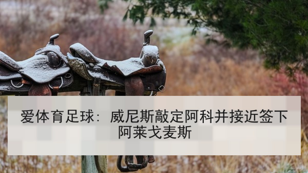 爱体育足球: 威尼斯敲定阿科并接近签下阿莱戈麦斯 爱体育足球: 威尼斯敲定阿科并接近签下阿莱戈麦斯